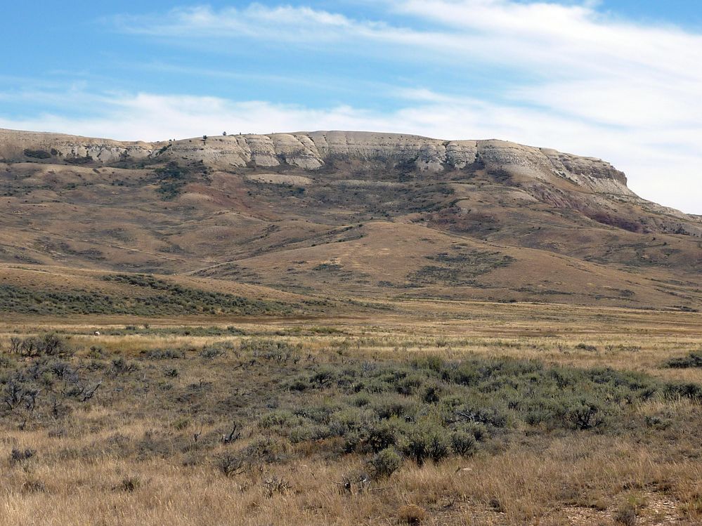 Fosile butte (19).JPG